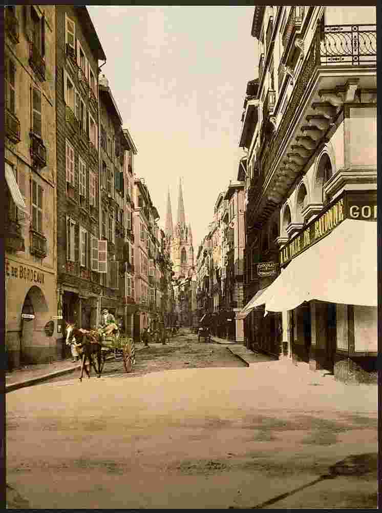 Bayonne. Vue de la ville avec Port Neuf, 1890