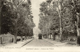 Châtenay-Malabry. Avenue des Tilleuls