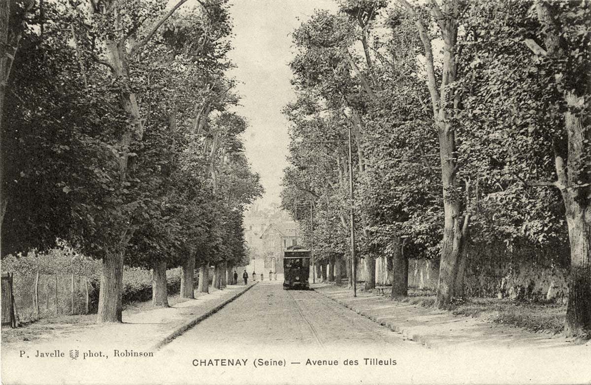 Châtenay-Malabry. Avenue des Tilleuls, 1915