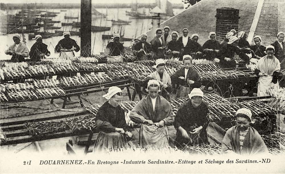 Douarnenez. Industrie sardinière - Etétage et Séchage des Sardines