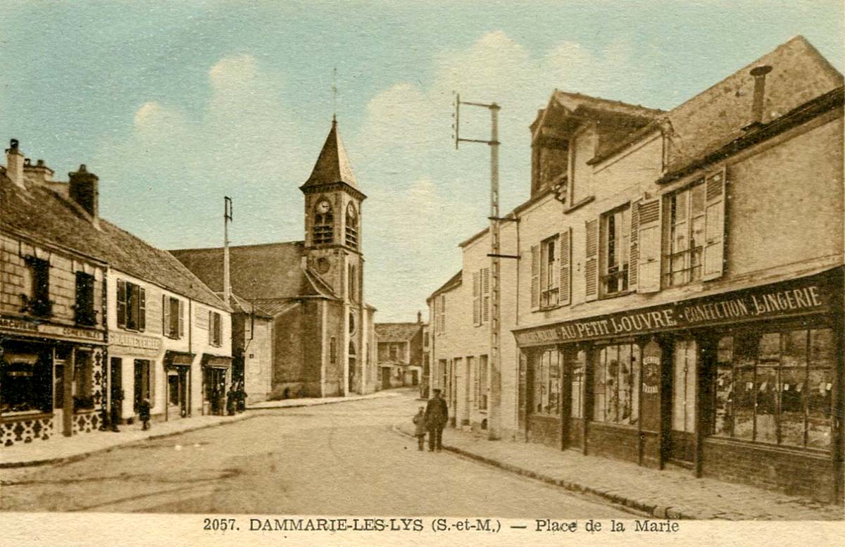 Dammarie-les-Lys. Panorama du rue et commerces
