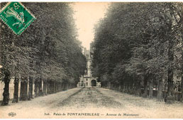 Fontainebleau. Avenue de Maintenon