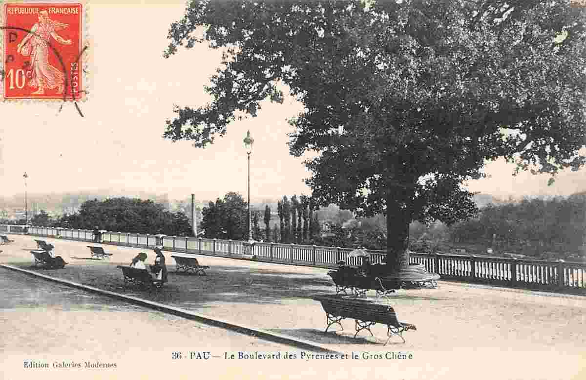 Pau. Le Boulevard des Pyrénées et le Gros Chêne